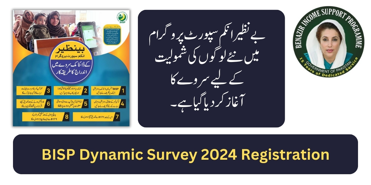 BISP Dynamic Survey 2024