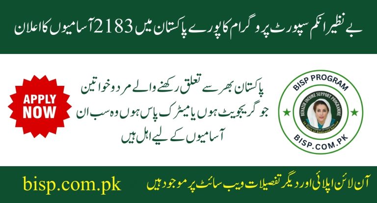 BISP Jobs 2025 for Data Entry Executives