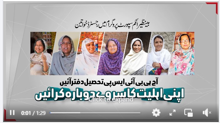 BISP 8171 Survey 2025