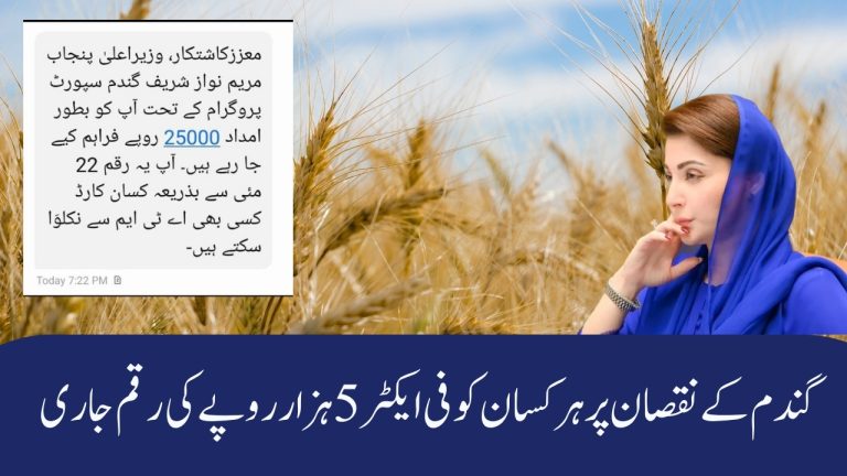 CM Punjab Wheat Support Program 5000 Per Acre 2025